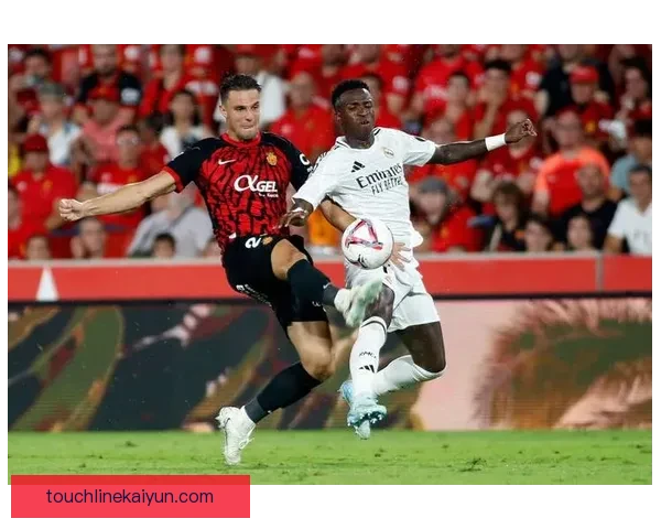 罗德里在欧洲杯中场表现稳健，国家队竞争力增强