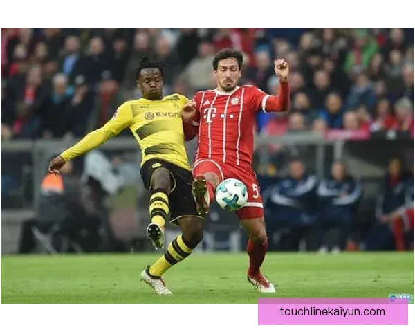 夸尔塔战术适配性分析及其对球队整体表现的影响