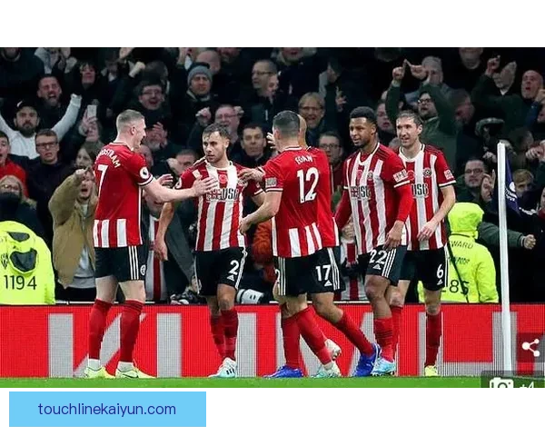 谢菲联球迷抗议球队近期表现持续低迷